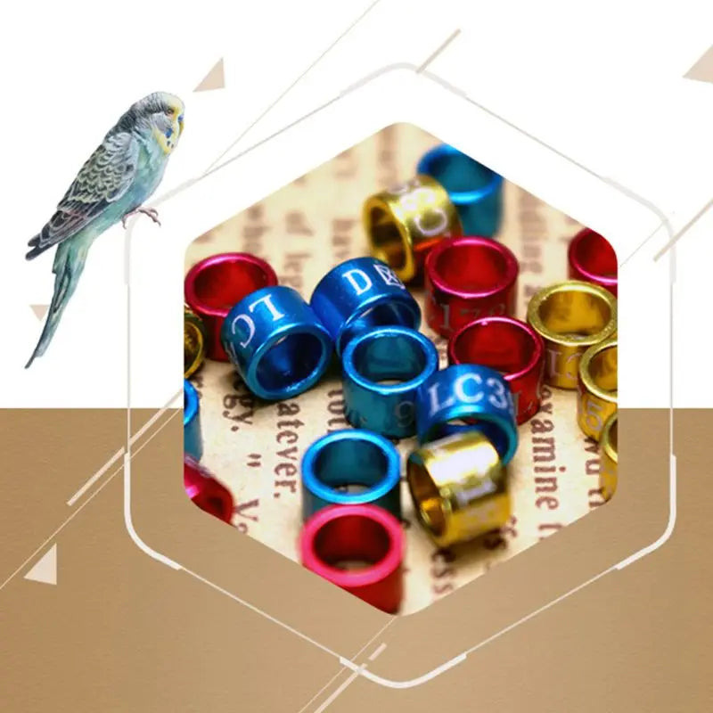 50Pcs Mix Color Bird Foot Ring Bands Clip on Leg Rings for Pigeon Bantam Small Poultry Chicken Pet Bird Label Sign Supplies C42