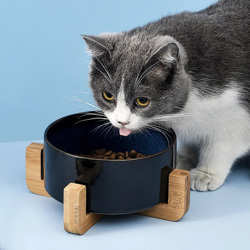 Double Cat Bowl Starry Ceramic Dog Food and Water Bowls Kitten Puppy Feeder with Wood Stand Durable Safe round Pet Feeding Bowl